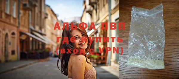 дживик Осташков
