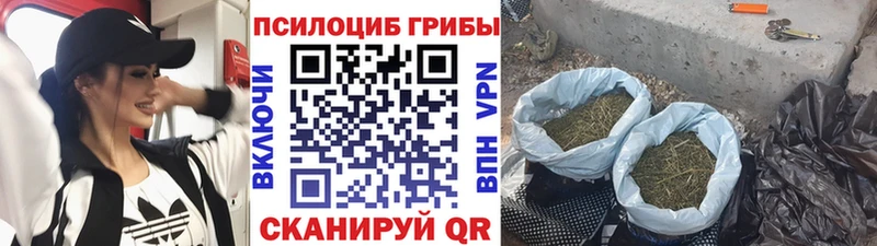 Галлюциногенные грибы MAGIC MUSHROOMS наркотики Сургут