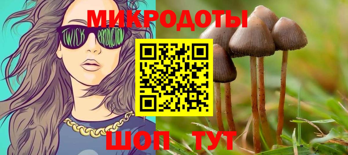 Псилоцибиновые грибы мицелий Сургут